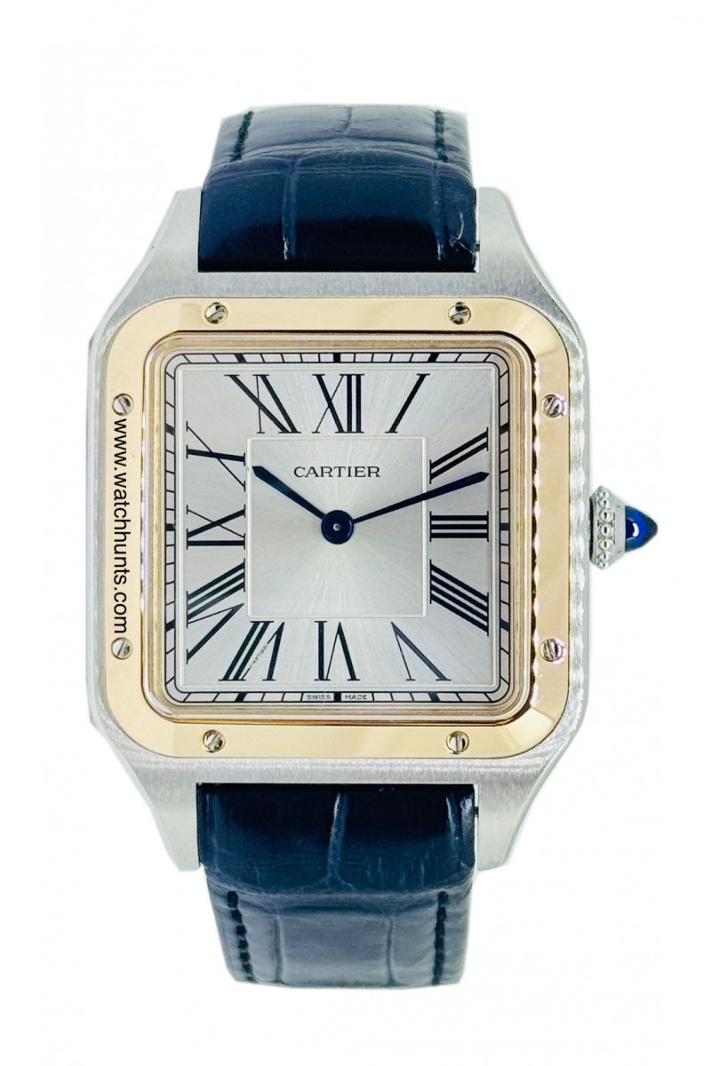 CARTIER-5.jpg